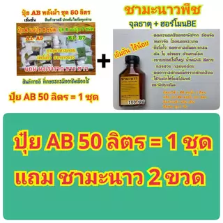 ปุ๋ยAB ชุด50ลิตร แถมชามะนาว2ขวด สูตรพลังม้า ผักไฮโดรโปนิกส์ น้ำวนน้ำนิ่ง ผักสลัด ผักไทย จีนและพ่นทางใบพืชทุกชนิด เข้มข้น