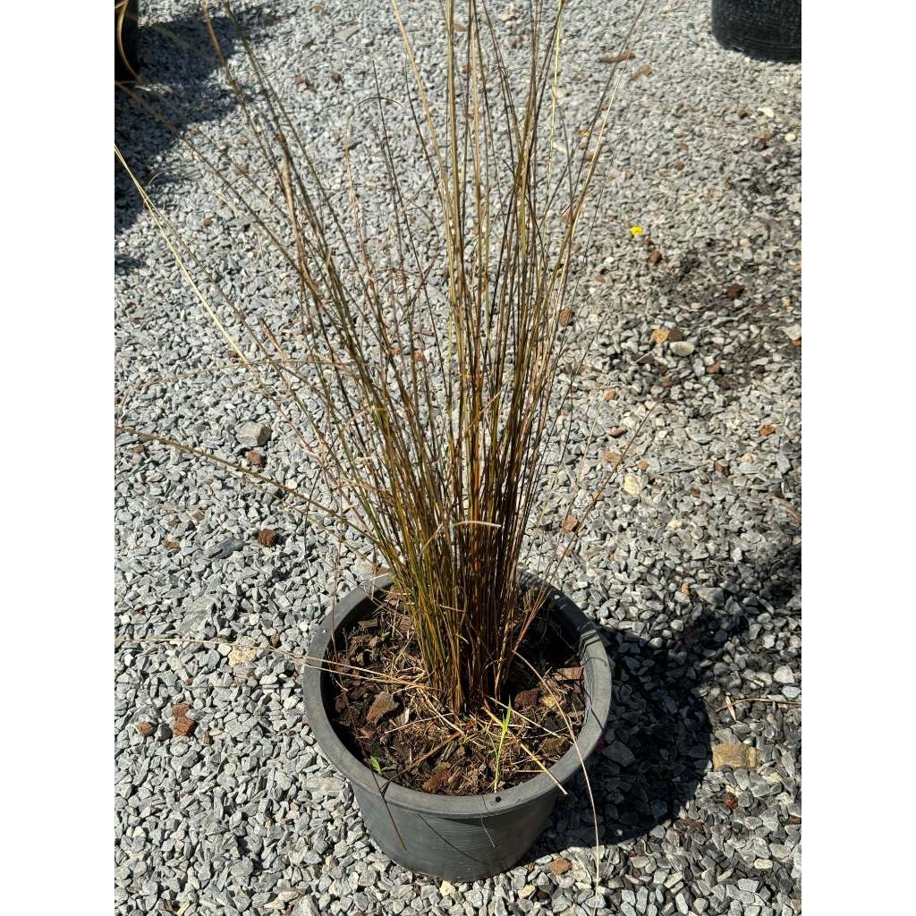 มุมมอง 2