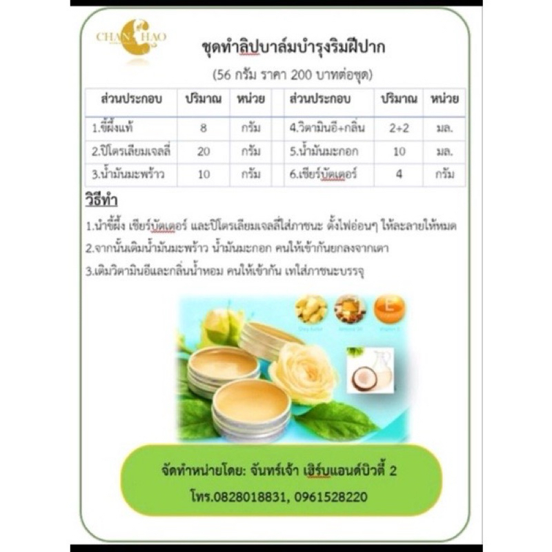 ชุดทำลิปบาล์ม ชุดทำลิปบำรุง ชุดทำลิปธรรมชาติ