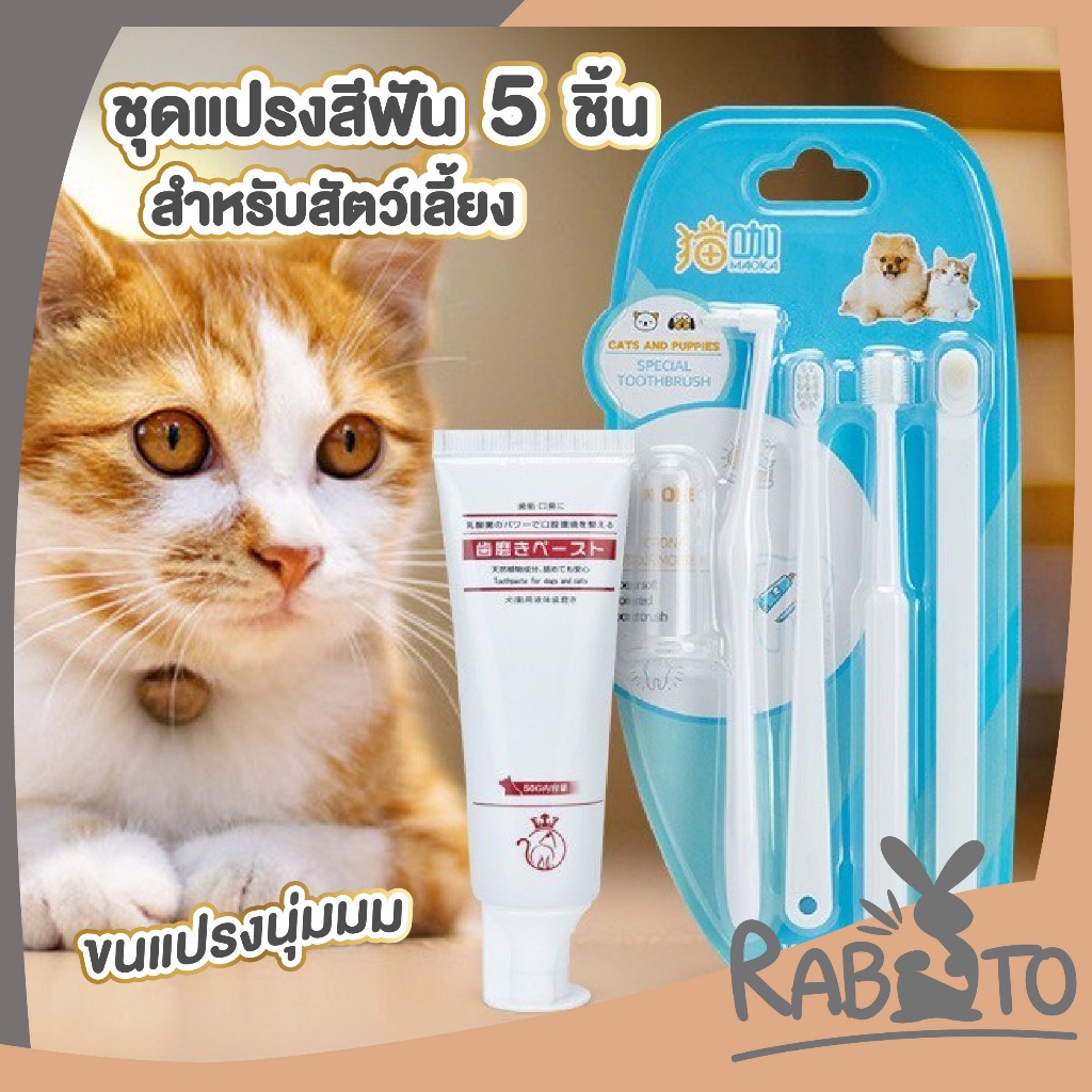Rabito Baby K17 ชุดแปรงสีฟันสัตว์เลี้ยง แปรงสีฟันหมาแมว แปรงสีฟันหมา แปรงฟันแมว ลดกลิ่น ลดคราบหินปูน