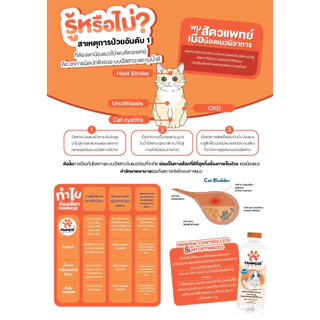 PAWMISE น้ำดื่มพอว์มิส น้ำดื่มเพื่อสุขภาพสำหรับแมวโดยเฉพาะ ขนาดขวดละ 500 ml (ยกโหล x12ขวด)