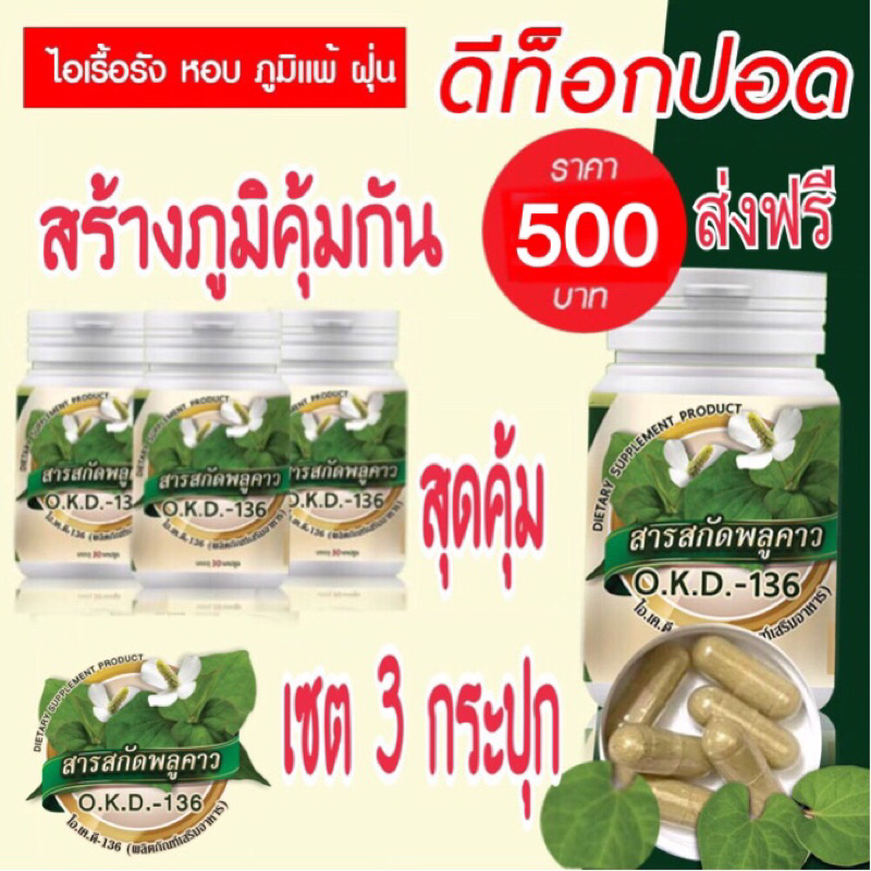 O.K.D.-136 สารสกัดพลูคาว เข้มข้น เซต 3 กระปุก ราคาสุดประหยัด 500 บาท 1แคปซูล 500 มิลลิกรัม เพิ่มภูมิคุ้มกัน