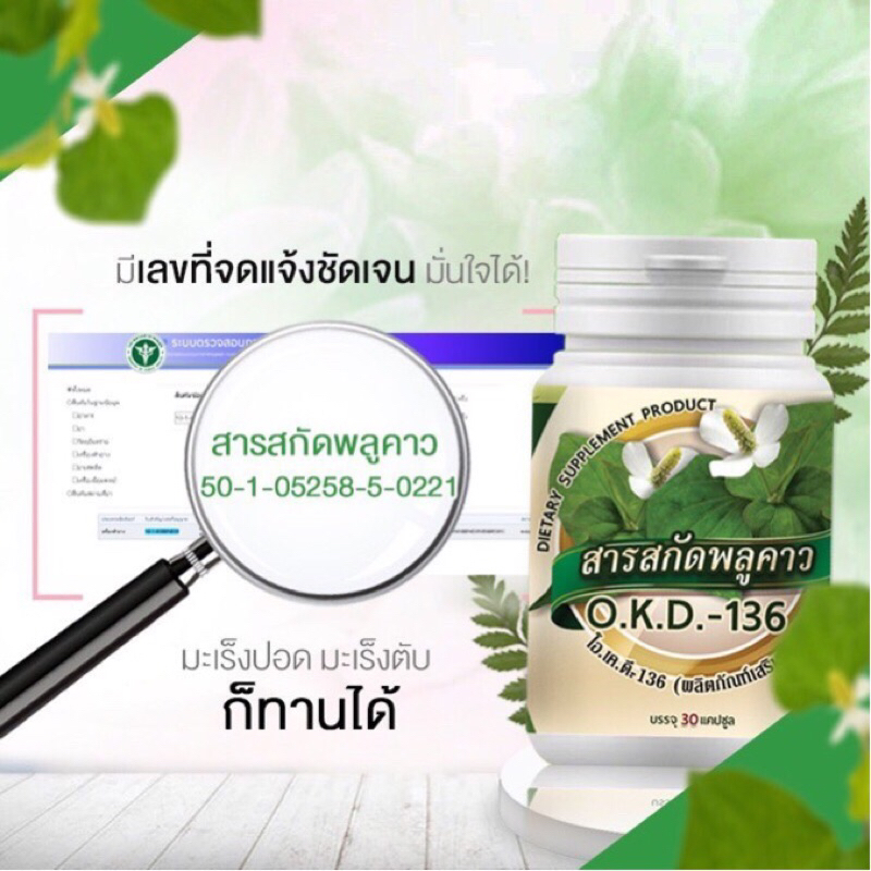 จบปัญหาโรคภูมิแพ้ เสริมภูมิคุ้มกัน ด้วยสมุนไพรพื้นบ้าน พลูคาว คาวตอง ช่วยอาการภูมิแพ้ทุกชนิด น้ำมูกไหล ไอเรื้อรัง จาม