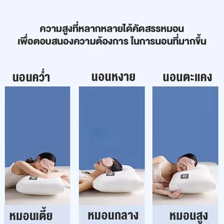 หมอน หมอนหนุน 900/1100g หนานุ่ม เด้งคืนตัวไว ผ้าฝ้ายถัก กันไรฝุ่น ใส้ใยคุณภาพสูง ไม่เสียทรง Pillow