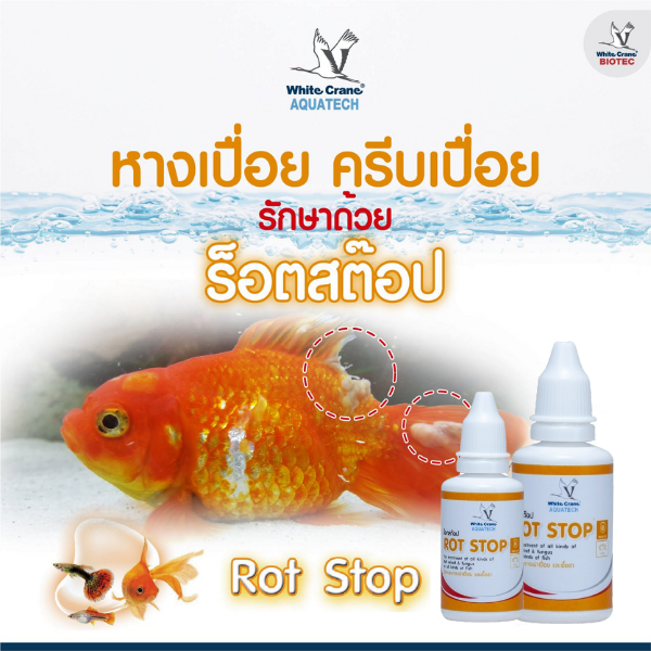 Rot Stop ร๊อตสตอป ผลิตภัณฑ์ใช้ควบคุมปรสิตภายนอกและป้องกันอาการที่เกิดจากเชื้อรา