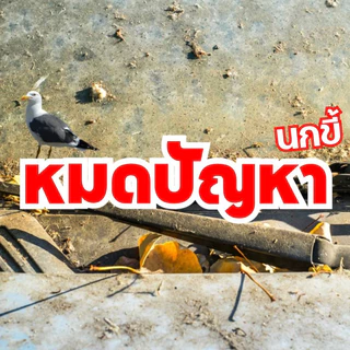 ก้อนไฟป่าไล่นกพิราบ กลิ่นไฟป่า ของแท้จอนนี่มือปราบ | ชุด 3 ซอง