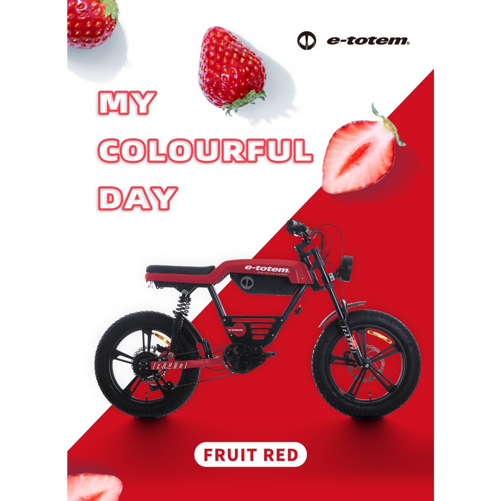 จักรยานไฟฟ้า E-Totem R40