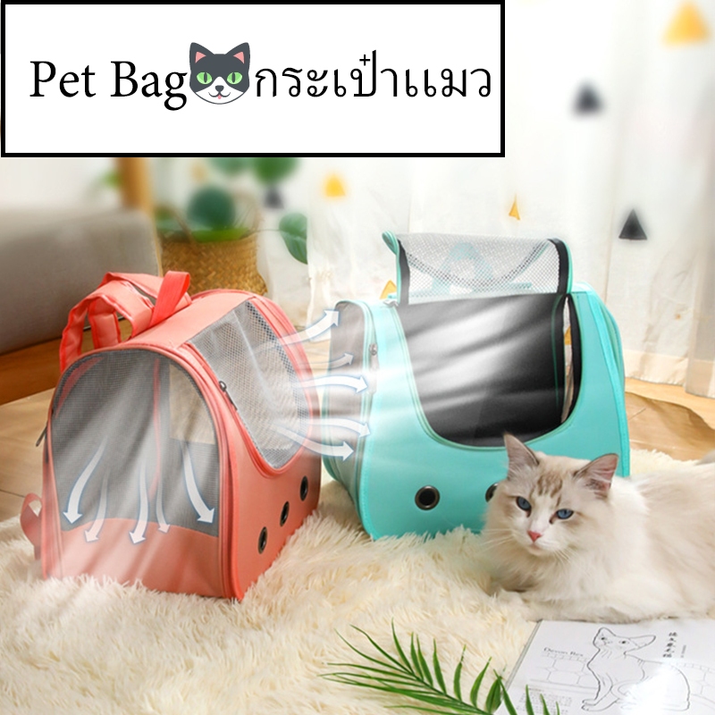 Pet Bag🐱กระเป๋าเเมว เป้แมว กระเป๋าเป้สัตว์เลี้ยง Pet carrier พับเก็บได้ ระบายอากาศได้