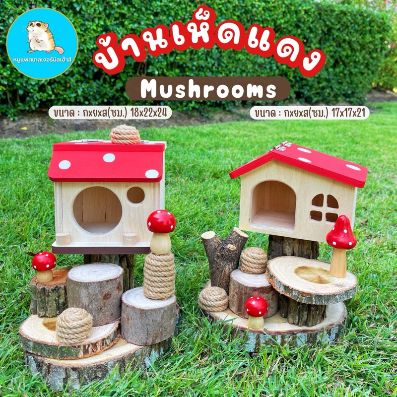 บ้านเห็ด🍄สำหรับหนูแฮมเตอร์ สัตว์เล็ก//บ้านไม้ ของเล่นหนู แฟตเทล แฮมเตอร์ ดอร์เม้าส์ ไจแอนท์ กรงหนู