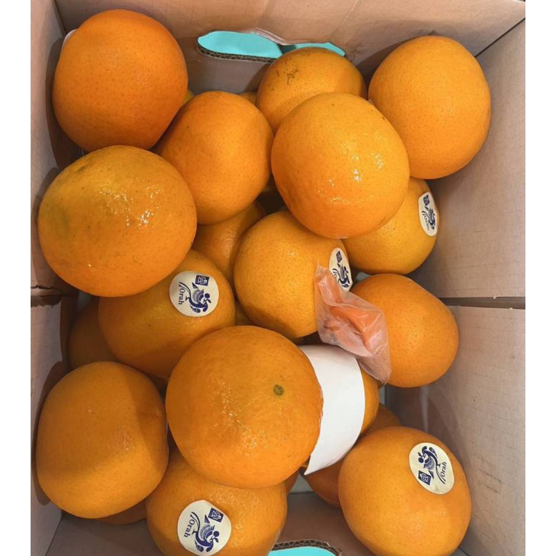 ส้มใต้หวัน 🍊1 kg.🍊ไซร์ L,XL หวาน หอม อร่อย แช่เย็นชื่นใจ🍊🍊 สั่งเลย✔✔ - รูปที่ 6