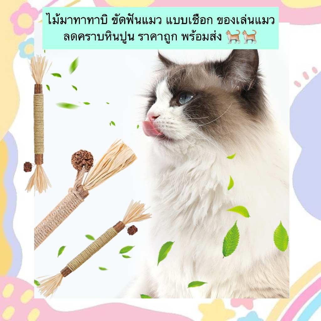BN-522 ไม้มาทาทาบิแบบเชือก ของเล่นแมว ขัดฟัน ลดคราบหินปูน ปลอดภัย ราคาน่ารัก พร้อมส่ง 🐈🪵 🌿 ทำจากไม้ธรรมชาติ 100% ปลอดภั