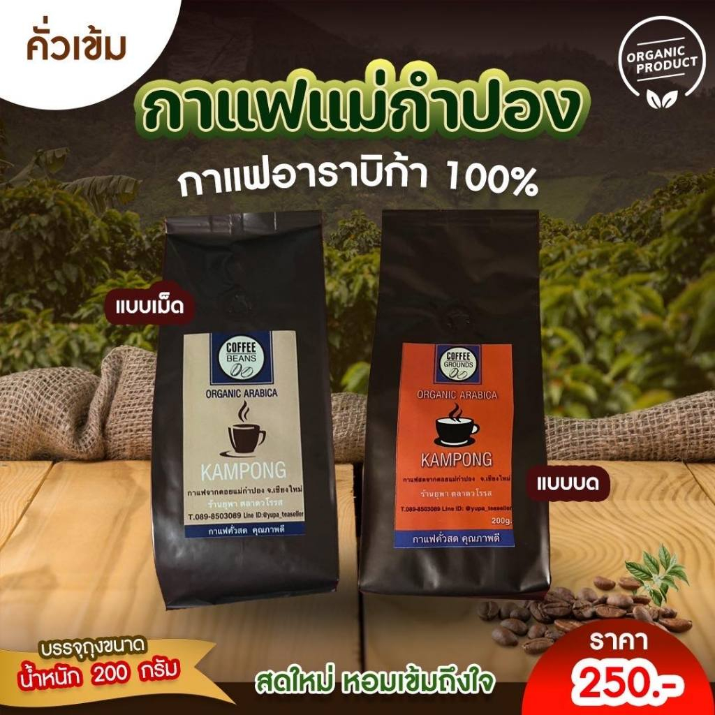กาแฟสด ดอยแม่กำปอง คั่วเข้ม หอมๆ☕️