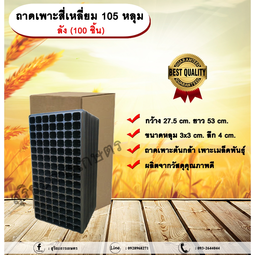 ถาดเพาะสี่เหลี่ยม 105 หลุม ลัง (100 ชิ้น) ถาดเพาะต้นกล้า ถาดเพาะเมล็ดพันธุ์ ขนาด 105 หลุม allaboutpl
