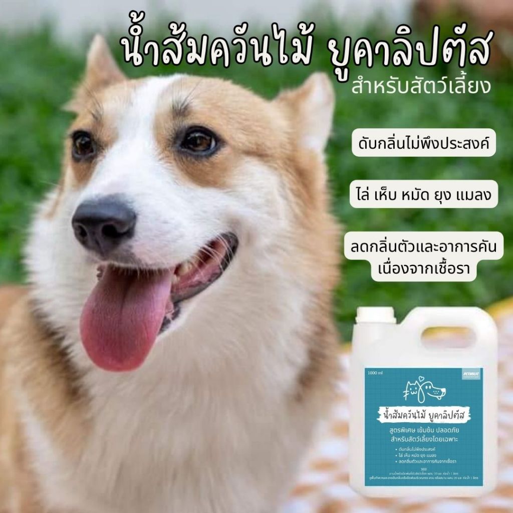 น้ำส้มควันไม้ ยูคาลิปตัส Organicแท้100% เข้มข้น ปลอดภัย สำหรับสัตว์เลี้ยง