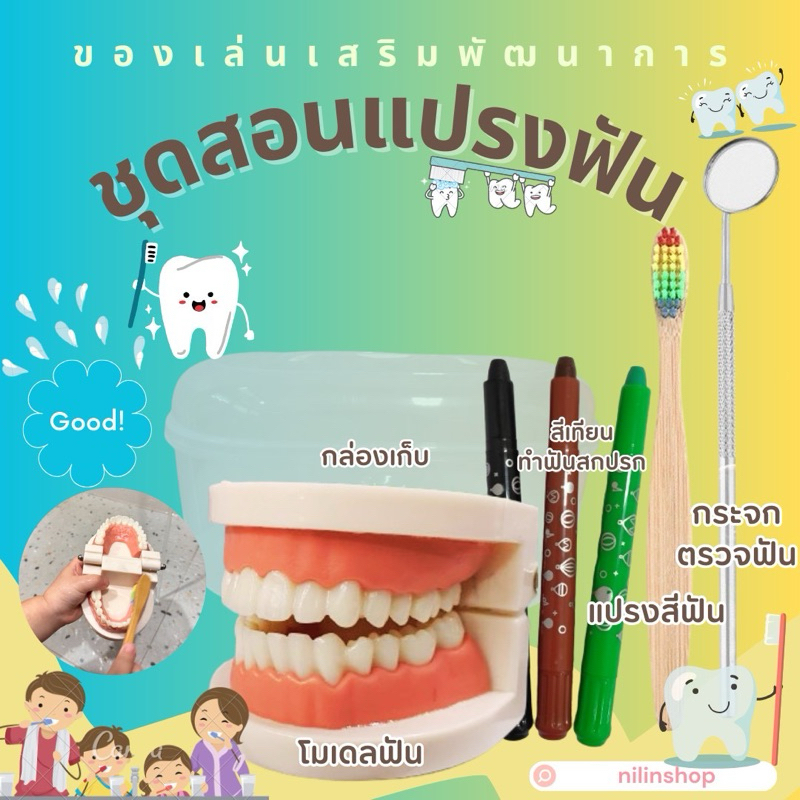 ชุดสอนแปรงฟัน ชุดฝึกแปรงฟันจากโมเดลฟัน มีกระจกส่องฟัน แปรงสีฟัน พร้อมกล่องเก็บ