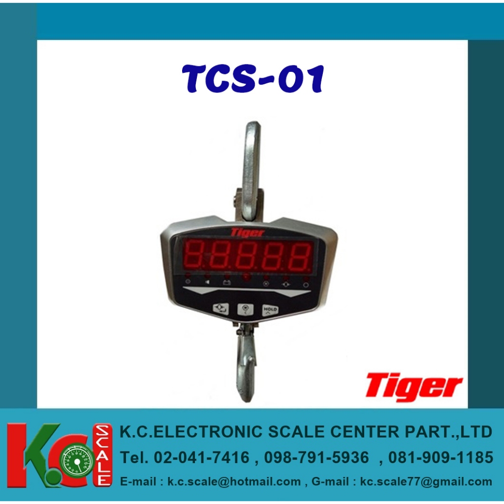 เครื่องชั่งแบบแขวน CRANE SCALE