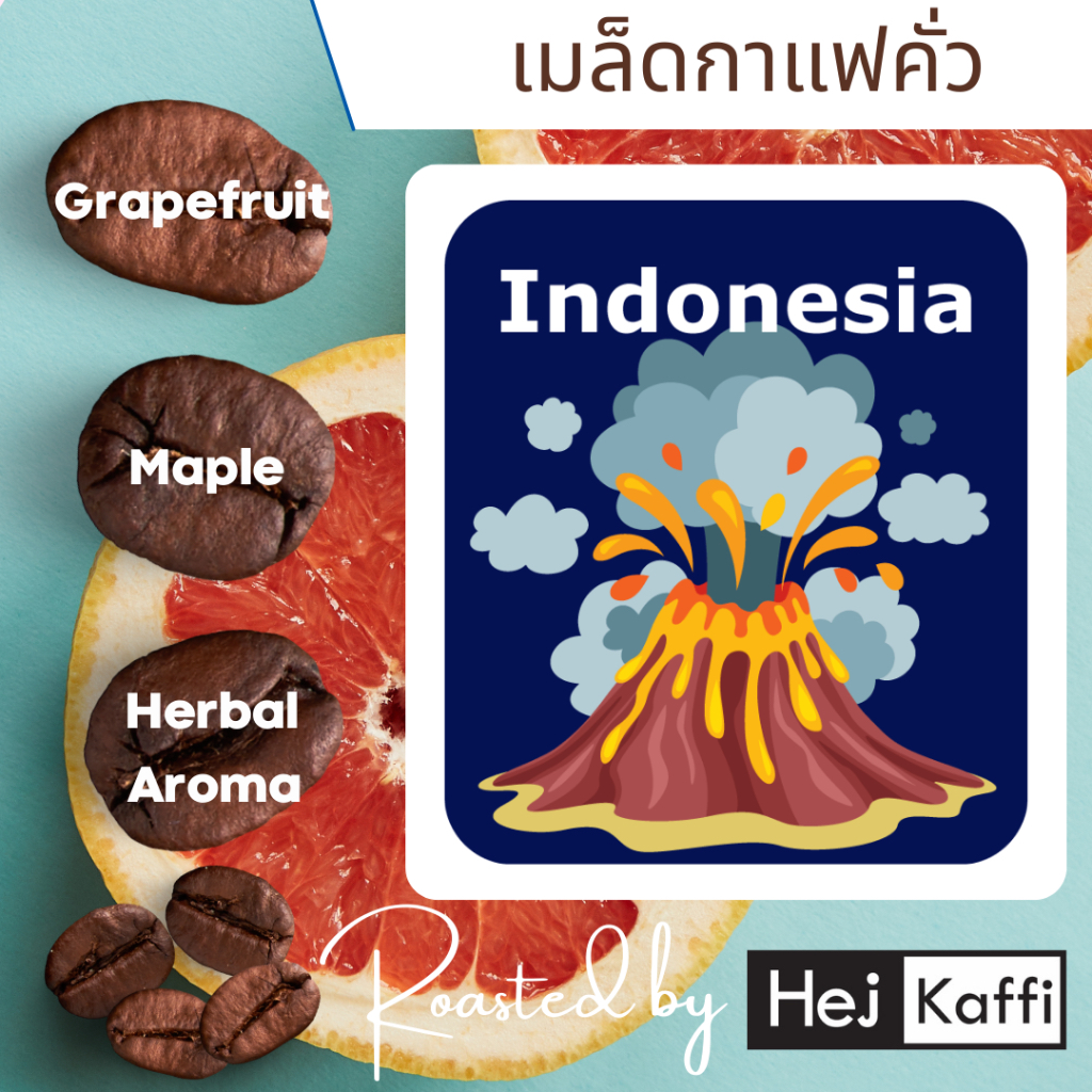 เมล็ดกาแฟคั่วใหม่ Indonesia Sumatra อินโดนีเซีย สุมาตรา เลือกระดับคั่วได้ คั่วใหม่ทุกถุง 100 กรัม Coffee roasted bean