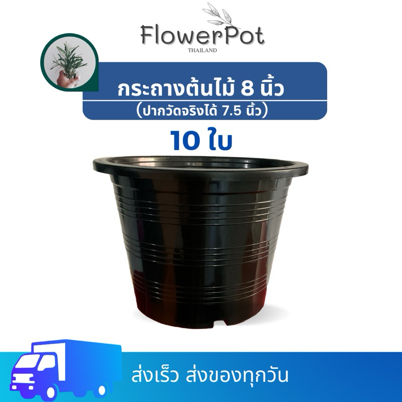 (10ใบ) กระถางพลาสติก สีดำ 8 นิ้ว ราคา ถูกที่สุด ดีลบีเคเค