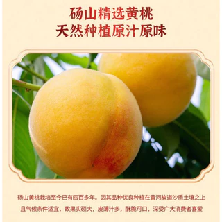 ลูกพีชเชื่อม🍑พีชกระป๋อง💥Sale💥ในน้ำเชื่อม หอมหวานชื่นใจ425g
