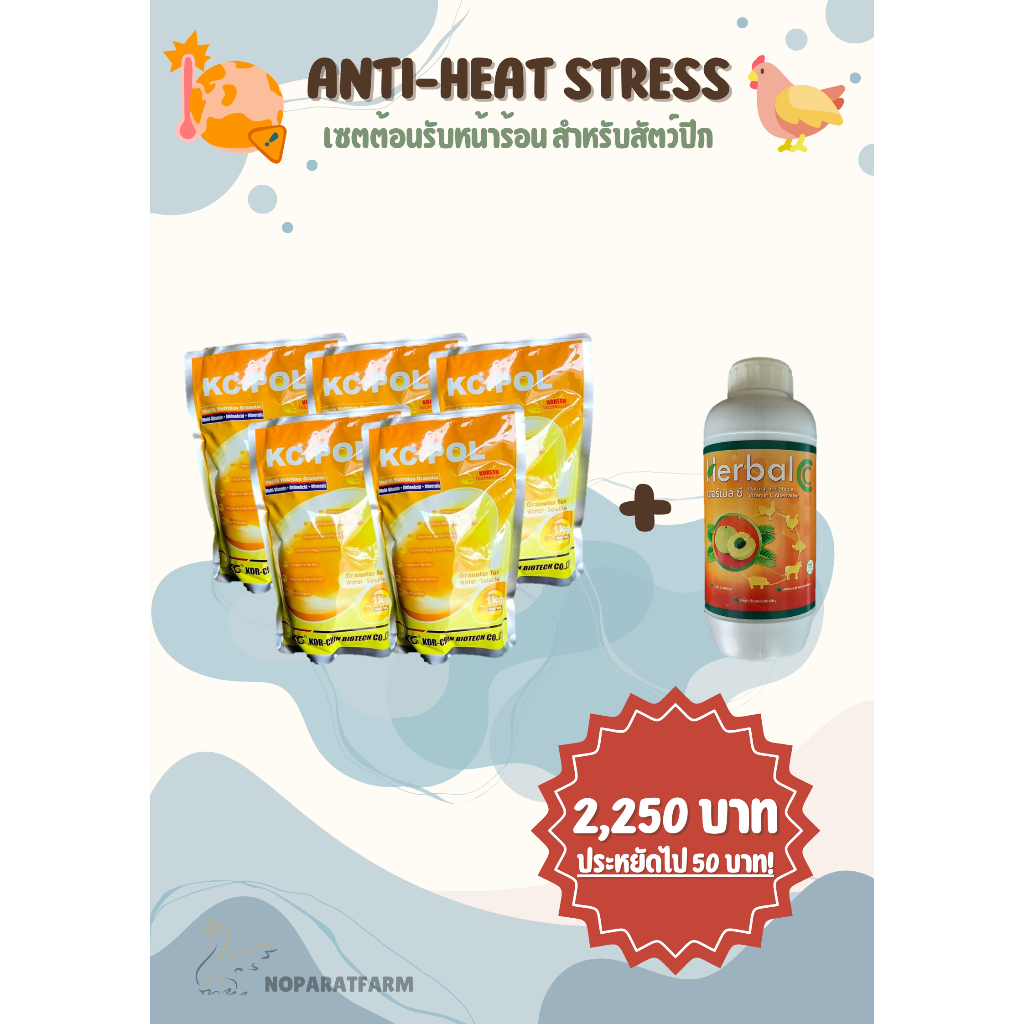Anti-heat stress เซตต้อนรับหน้าร้อน สำหรับสัตว์ปีก เซตที่ 2 : KC-POL 5 ซอง + Herbal C 1 ขวด