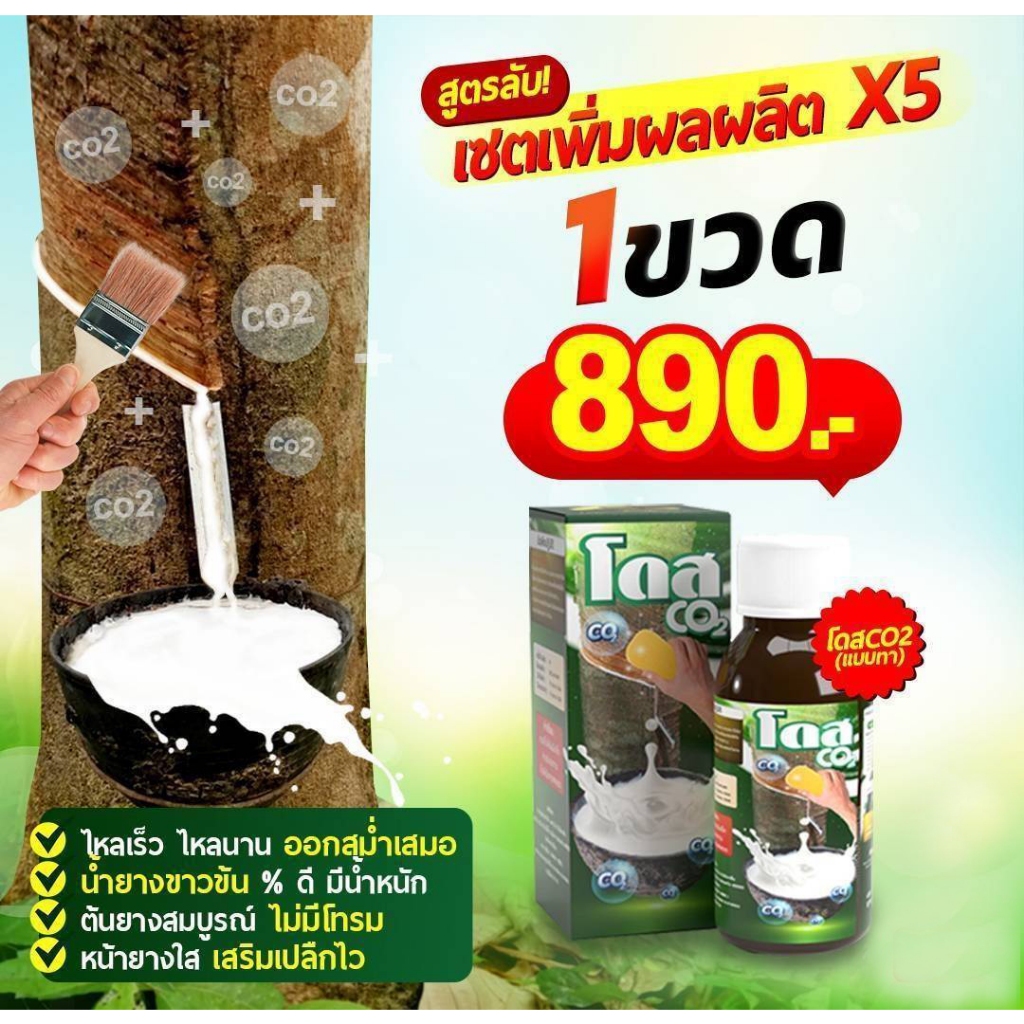 โดส Co2 นวัตกรรมปุ๋ยอากาศ หัวเชื้ออาหารเสริมพืชสูตรเข้มข้น ชนิดทา เพิ่มน้ำยาง5เท่า ได้เยอะ ลดต้นทุน