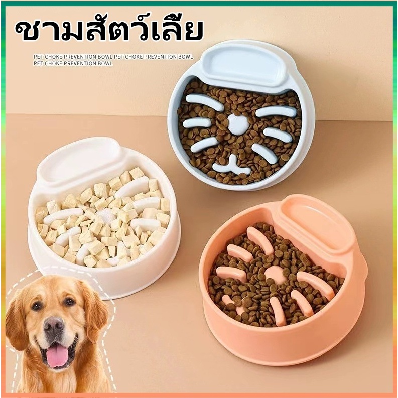 ชามอาหารสัตว์เลี้ยง ชามแมว วัสดุพลาสติกPP มีช่องแยกอาหารเปียก ชามลดการกินเร็ว