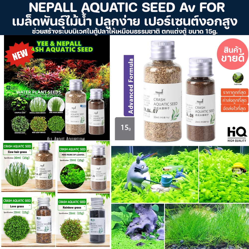(ส่งด่วนจากในไทย) NEPALL CRASH AQUATIC SEED 15g. เมล็ดพันธ์ุไม้น้ำ ต้นไม้ปลูกในน้ำเมล็ดพันธ์ุ  ไม้น้