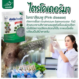 ไตรโคเดอร์มา แบบผง(500กรัม) เพาะเชื้อจากห้อง LAB พร้อมใช้ ปลอดภัย 100 %