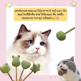 PP-526 แคทนิปบอล & ไม้มาทาทาบิ – ขนมแมว สมุนไพรหอม ฟินสุดๆ 🐱 ของเล่นแมวจากธรรมชาติ ปลอดภัย ช่วยให้น้องแมวผ่อนคลาย