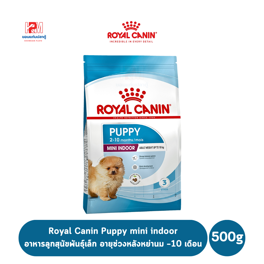 Royal Canin Puppy mini indoor อาหารลูกสุนัขพันธุ์เล็ก อายุช่วงหลังหย่านม - 10 เดือน ขนาด 500 G.