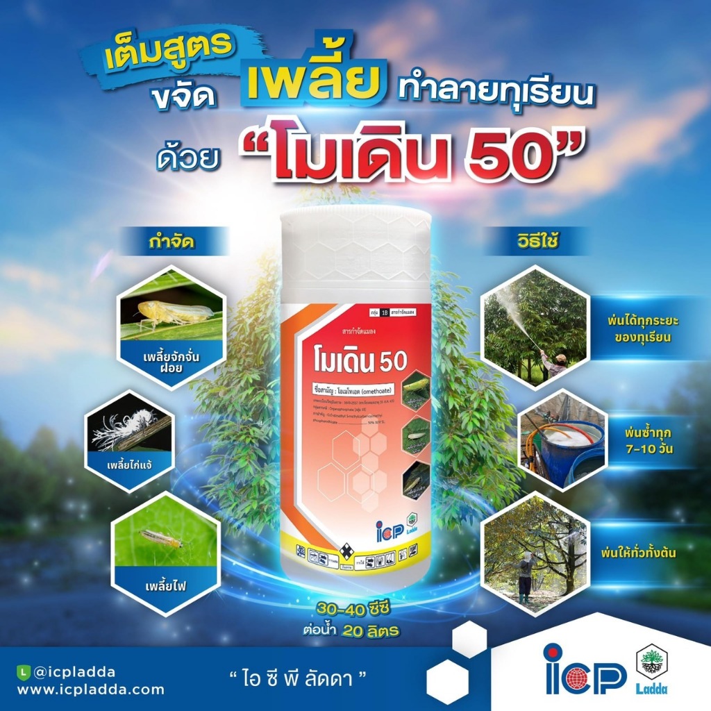 โมเดิน50 โอเมโทเอต ขนาด1ลิตร ICP กำจัดแมลง ใช้กำจัดเพลี้ยไฟ เพลี้ยไก่แจ้ และเพลี้ยจักจั่น