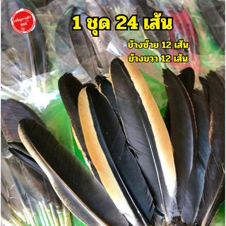 ขนต่อปีกไก่ สำหรับต่อปีกไก่ ขนแต่งปีกไก่ #ขอต่อปีก