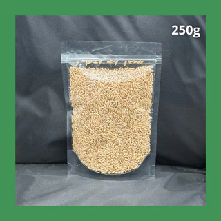 เมล็ดข้าวโอ๊ต สำหรับหุง ออแกนิค (250g, 500g) Organic whole oat grains ข้าวโอ๊ต