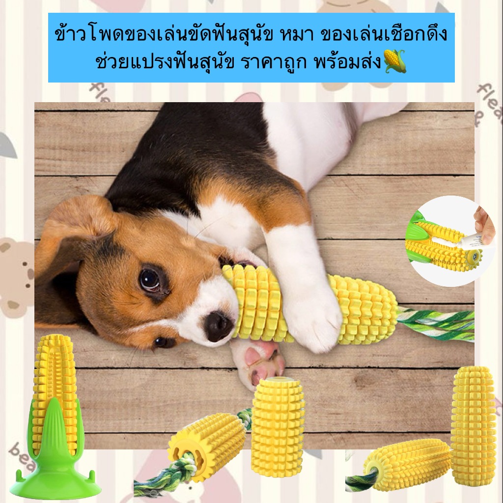 PP-840 ข้าวโพดของเล่นขัดฟันสำหรับสุนัข 🐶 ของเล่นเชือกดึงสุดสนุก ช่วยแปรงฟันให้น้อง ๆ แข็งแรง ราคาถูก พร้อมส่งทันที 🌽