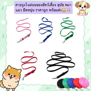 AL-845 สายจูง (ไม่มีตัวปรับขนาด) ไนล่อนของสัตว์เลี้ยง สุนัข …