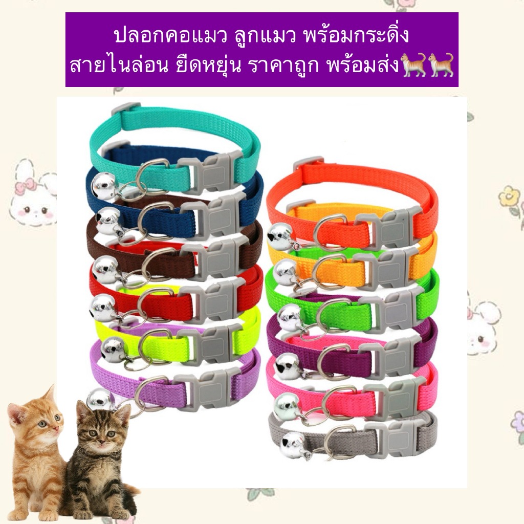 AL-846 ปลอกคอแมว ลูกแมว พร้อมกระดิ่ง  สายไนล่อน ยืดหยุ่น ราคาถูก พร้อมส่ง🐈🐈