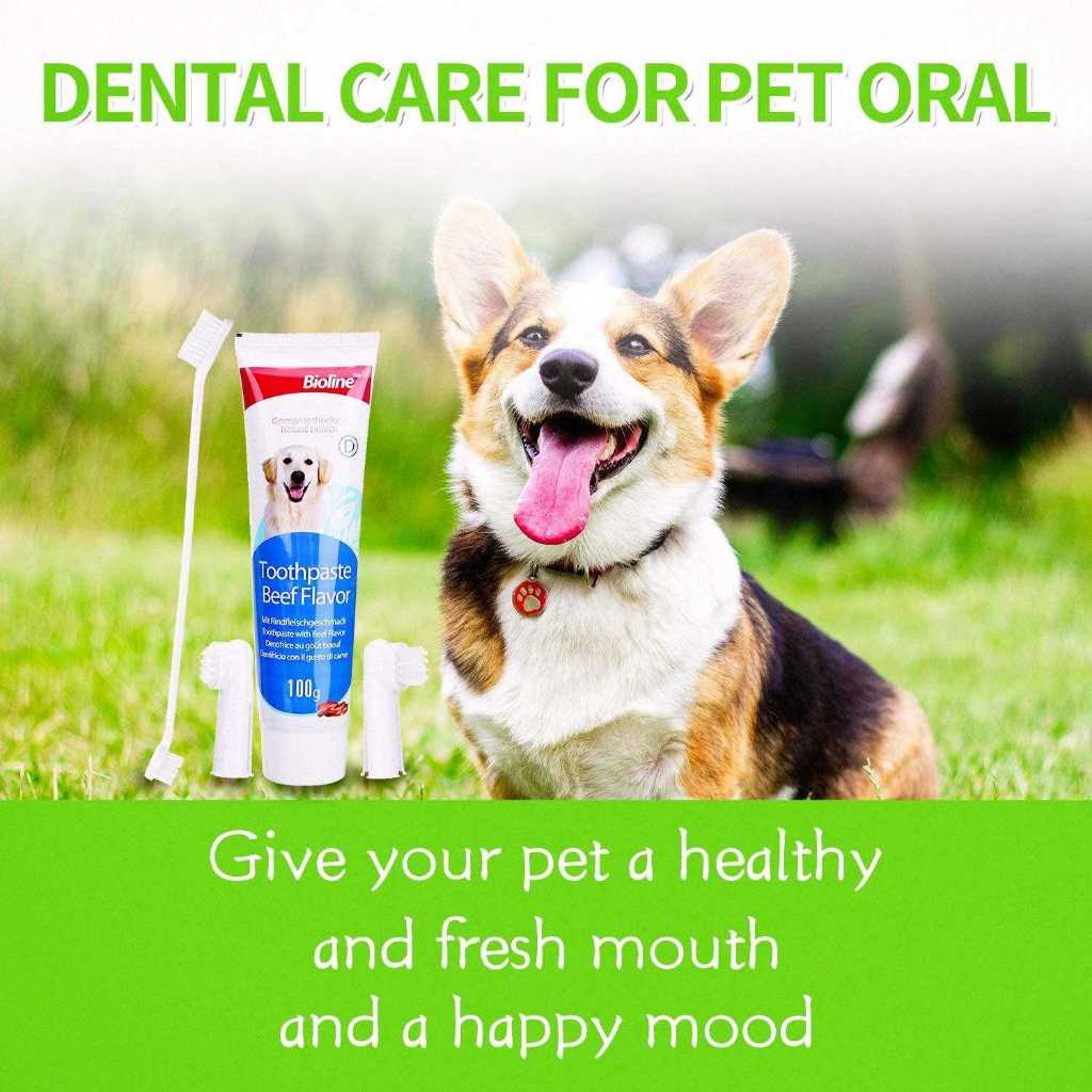 Bioline ยาสีฟันสำหรับสุนัข ลดการเกิดคราบพลัค การสะสมหินปูน ยับยั้งแบคทีเรีย ลมหายใจหอมสดชื่น ในช่องปากสุนัข - รูปที่ 2