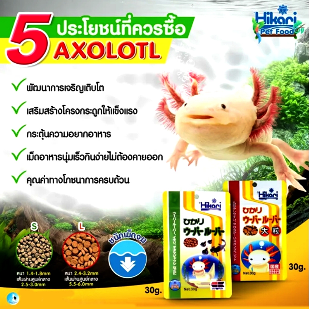Hikari Axolotl 30g อาหารสำหรับหมาน้ำ ซาลาแมนเดอร์ กบ