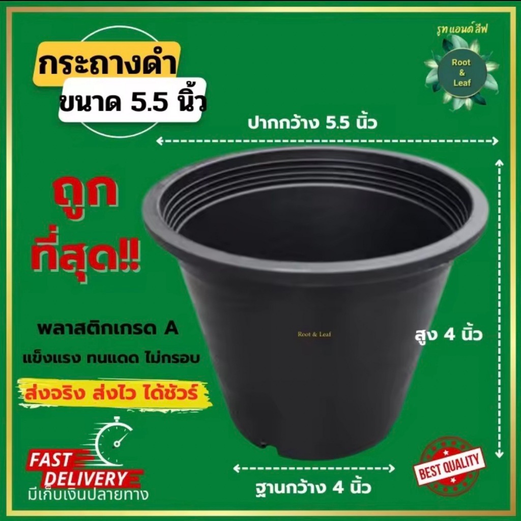 กระถางพลาสติกสีดำ ขนาด 5.5 นิ้ว(ปากกระถาง 5.5 นิ้ว).  ถูกที่สุด  สินค้าพร้อมส่ง !!! พลาสติกเกรด AAA