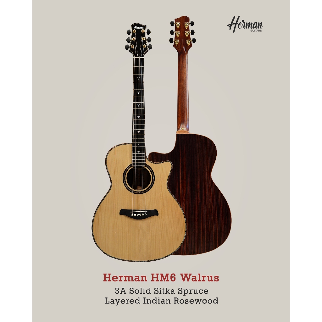 Herman HM6 Walrus 3A Solid Sitka Spruce, Layered Indian Rosewood