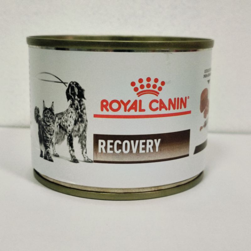 Recovery Royal Canin อาหารสำหรับสัตว์ป่วย