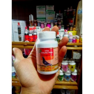 VITA​ DISUKE​ P500​(กระปุกเล็ก50เม็ด)​  สมุนไพรบำรุงไก่ชนแบร…