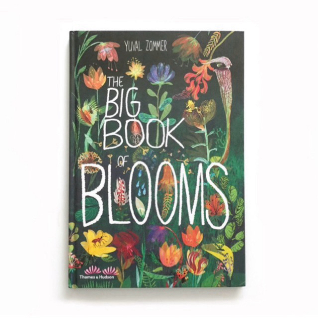 The Big Book of Blooms: Yuval Zommer (The Big Book series)