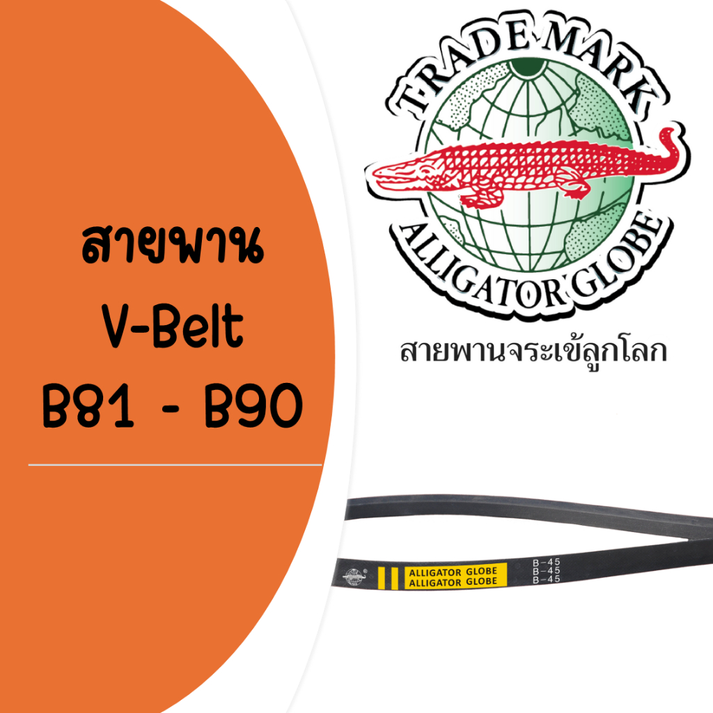 สายพาน จระเข้ลูกโลก B81 - B90