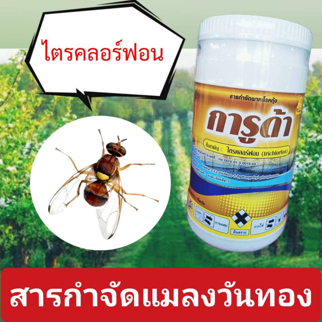 การูด้า ไตรคลอร์ฟอน (trichlorfon) สารกำจัดแมลงวันทอง ยาฆ่าแมลงวันทอง