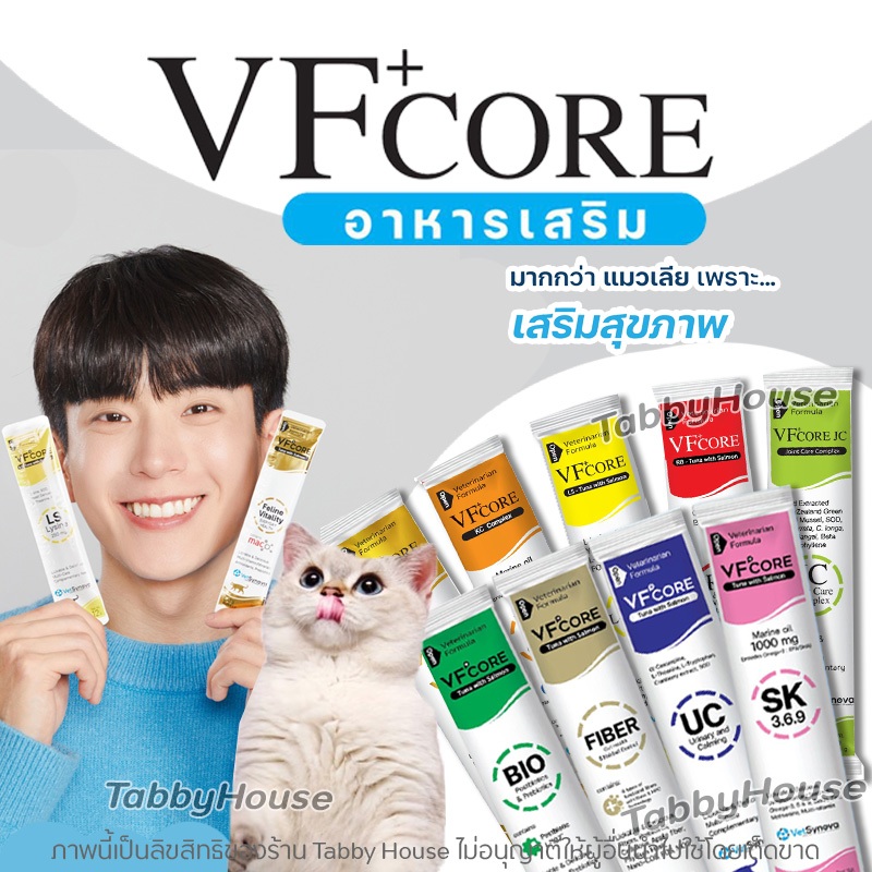 VFcore อาหารเสริม มีครบทุกสูตร (แบ่งขาย 1 ซอง) ในรูปแบบขนมแมวเลีย รสเนื้อทูน่าและแซลม่อน ทานง่าย