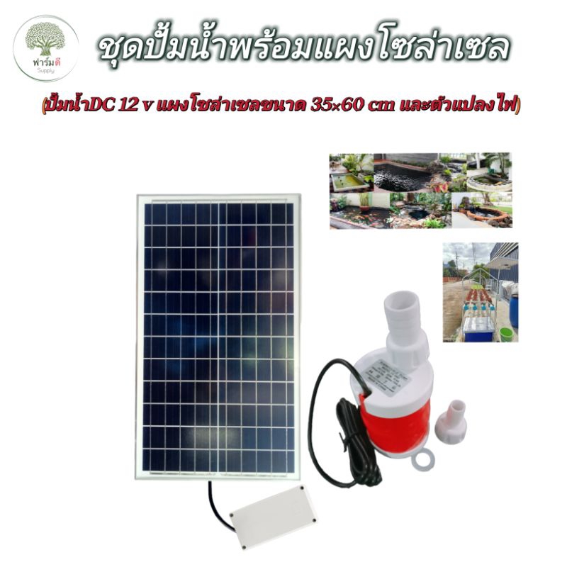ชุดปั้มน้ำโซล่าเซลล์ พร้อมแผงโซล่าเซลล์ขนาดใหญ่35×60cm30wชุดประกอบสำเร็จพร้อมใช้งานมีตัวแปลงไฟ SET001