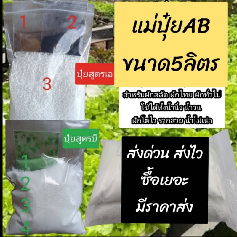 ชุดปุ๋ยเอบีผสม**ขนาด5ลิตร**ปุ๋ยไฮโดรโปนิกส์ ปุ๋ยAB ปุ๋ยน้ำ ปุ๋ยเอบี ปุ๋ยผักสลัด ปุ๋ยผักHydroponics สูตรปรับปรุงใหม่