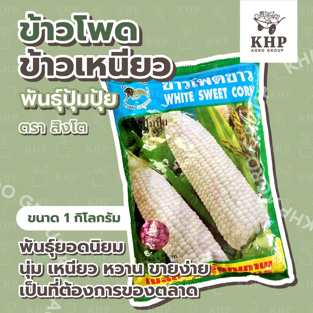 เมล็ดพันธุ์ ข้าวโพดข้าวเหนียว ขาว ปุ้มปุ้ย ตรา สิงโต บรรจุ 1 กิโลกรัม เนื้อเหนียวนุ่ม เป็นที่ต้องการของตลาด