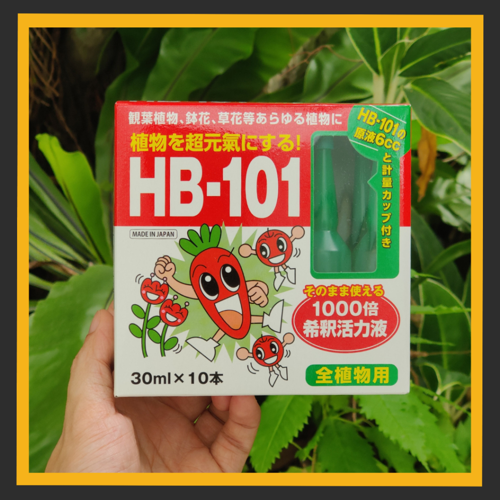 HB-101(เอชบี-101) อาหารเสริมพืชสูตรพร้อมใช้แบบปัก จากญี่ปุ่น ขวดขนาด 30ml